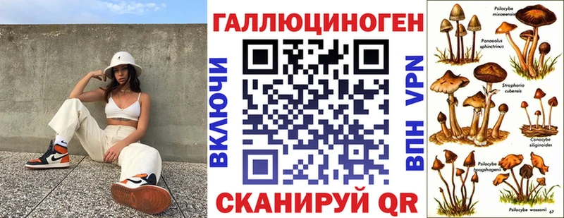 это клад  Рассказово  Галлюциногенные грибы MAGIC MUSHROOMS  закладки 