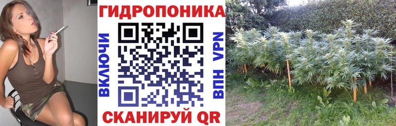 Бошки Шишки White Widow  купить   Рассказово 